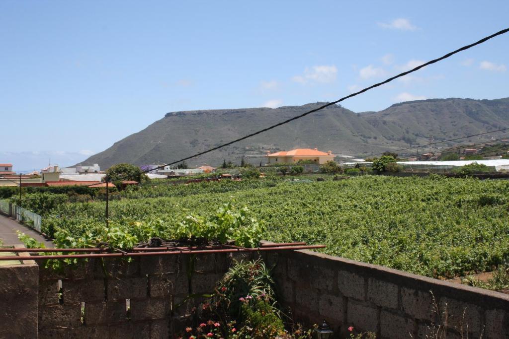 Finca El Vergel Rural Tegueste Camera foto