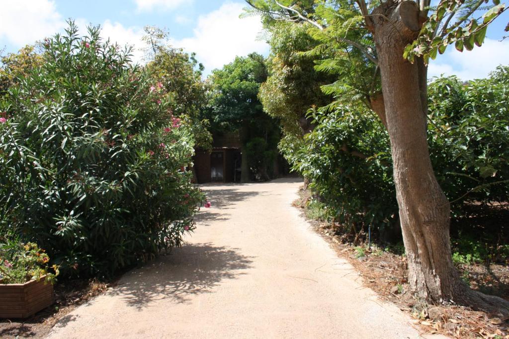 Finca El Vergel Rural Tegueste Esterno foto