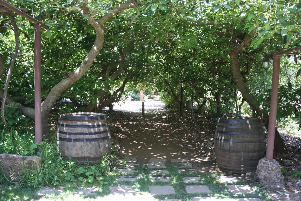 Finca El Vergel Rural Tegueste Esterno foto