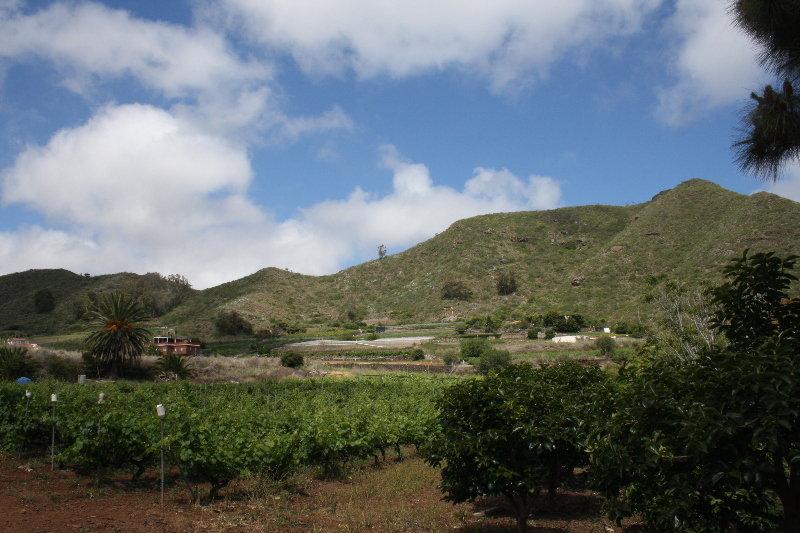 Finca El Vergel Rural Tegueste Esterno foto
