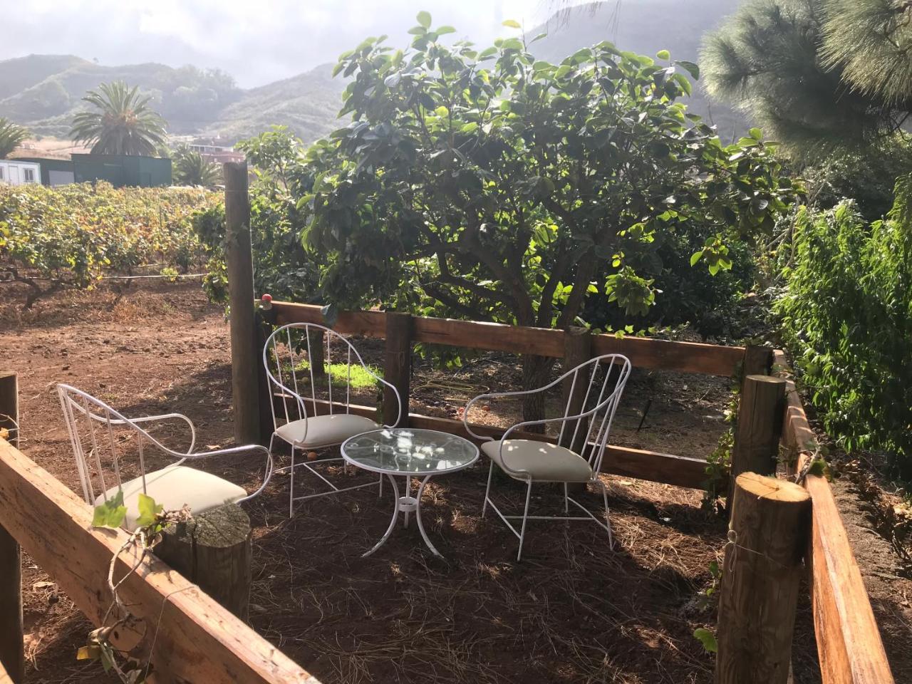 Finca El Vergel Rural Tegueste Esterno foto