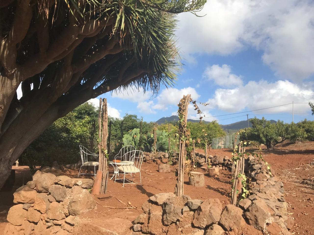 Finca El Vergel Rural Tegueste Esterno foto