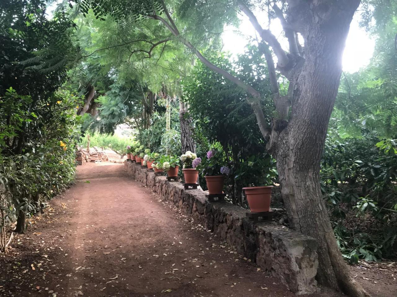 Finca El Vergel Rural Tegueste Esterno foto