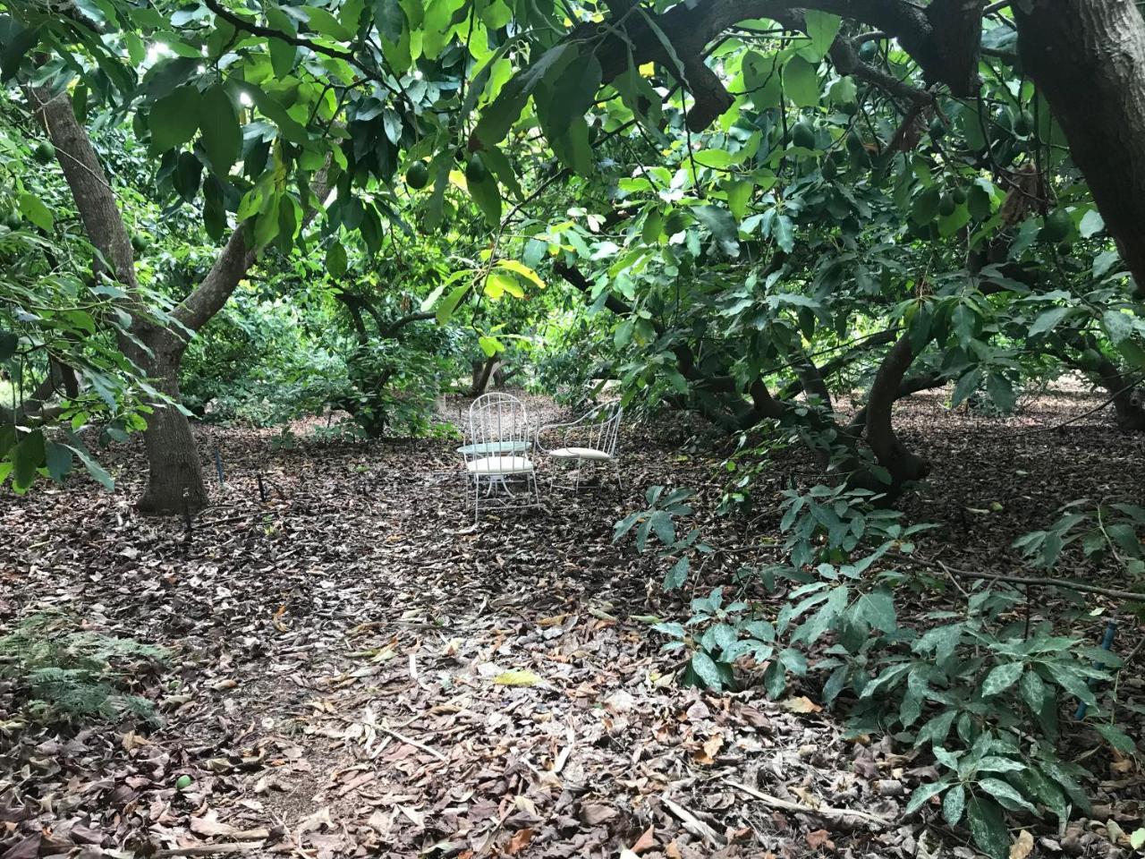 Finca El Vergel Rural Tegueste Esterno foto